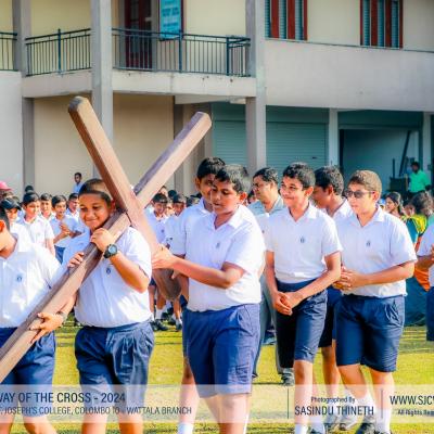 Way of the Cross 2024